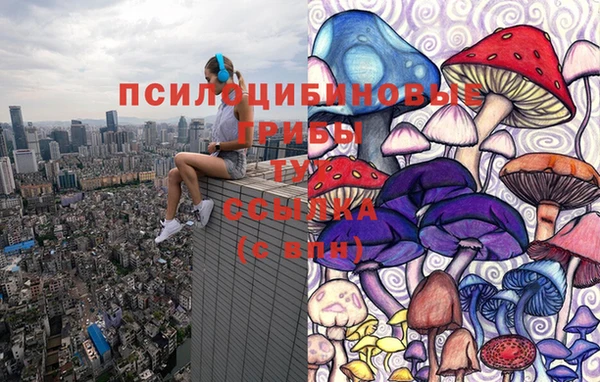 дживик Алзамай