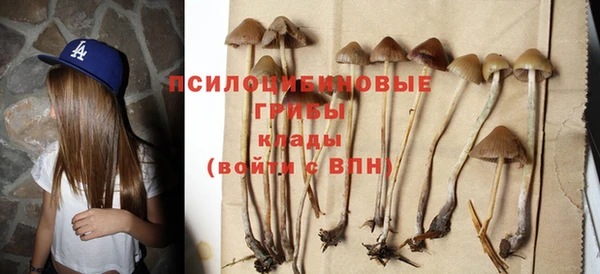дживик Алзамай