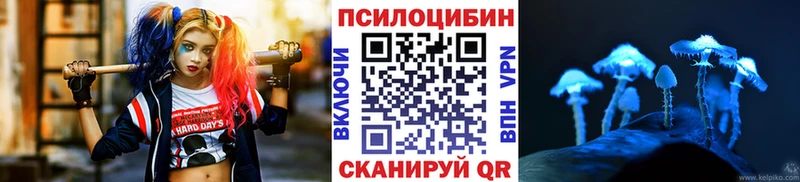 Галлюциногенные грибы мицелий  Канаш 