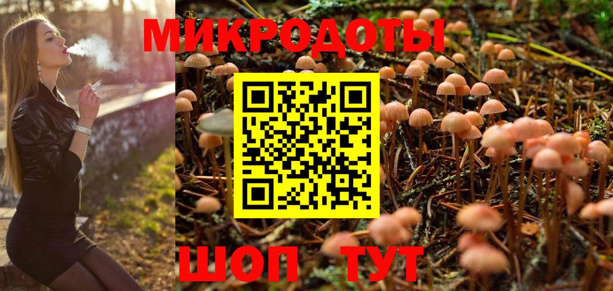 Канаш  наркотики  Вход с VPN  Галлюциногенные грибы MAGIC MUSHROOMS 