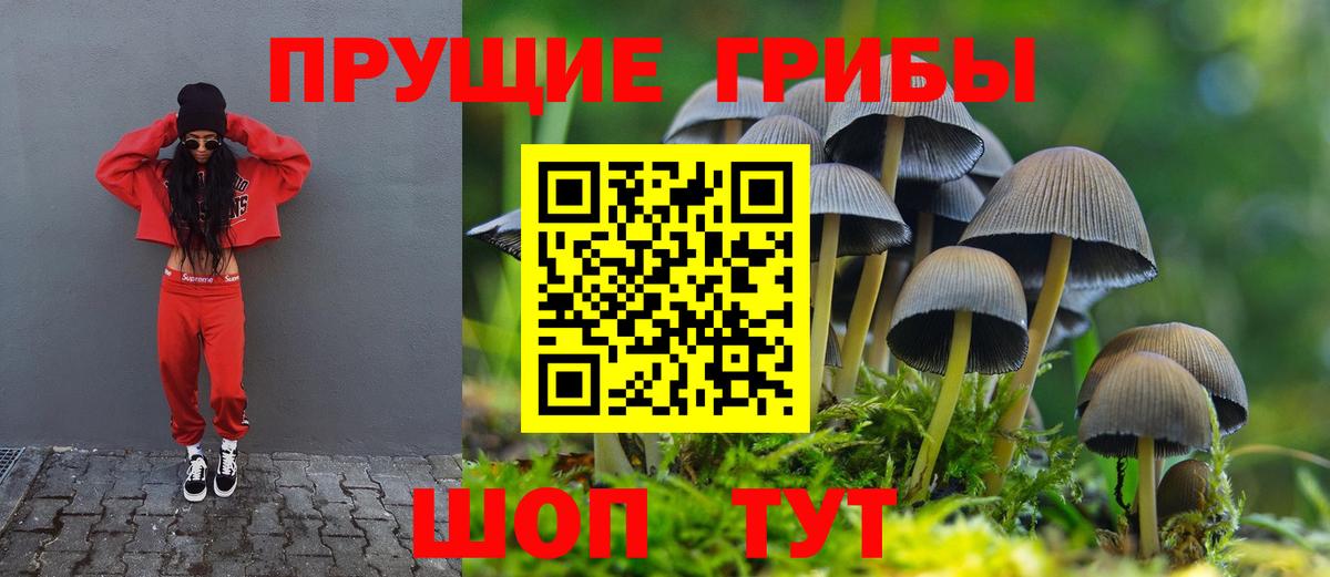 Галлюциногенные грибы MAGIC MUSHROOMS Канаш