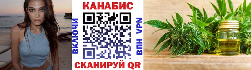 Конопля сатива  Канаш 